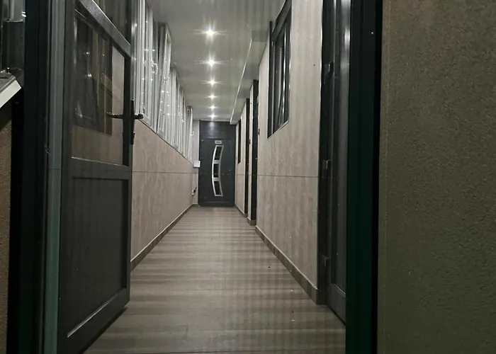 Ema, Asja, Eda * Zenica